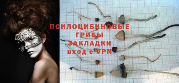 соль курить ск Горняк