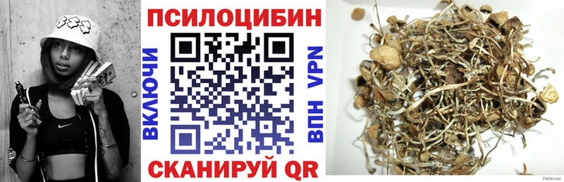 Галлюциногенные грибы ЛСД мега онион Дудинка